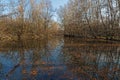 A pond in the forest at Grand parc de Miribel-Jonage