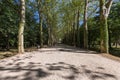 The grand pathway in the garden of Chenonceau Castle in the loire valley in France