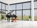 Grand piano