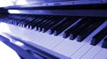 Grand piano ebony and ivory keys Royalty Free Stock Photo