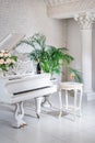 Grand piano in a luxury white classic interior with wine, palms and flowers. Royalty Free Stock Photo