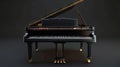 Grand piano stands against dark background, grand piano is beautiful instrument but it's not good investment