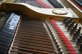 Grand Piano Strings & Hammers Closeup 1 Royalty Free Stock Photo