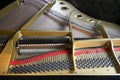 Grand Piano Strings & Hammers Closeup 1 Royalty Free Stock Photo