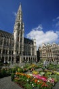 Grand Place, Brussels Royalty Free Stock Photo