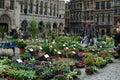 The Grand Place in Brussels, Belgium