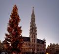 Grand Place, Brussels, Belgium Royalty Free Stock Photo