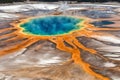 The grand prismatic pool, Yellowstone National Park. Royalty Free Stock Photo