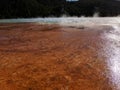 Grand Prismatic Spring with bacterial mats in Yellowstone National Park