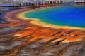 Grand Prismatic Spring Yellowstone National Park Tourists Viewing Spectacular Scene