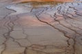 Some patterns of Grand Prismatic Spring shore