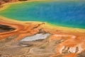 Grand Prismatic Spring, Yellowstone National Park Royalty Free Stock Photo