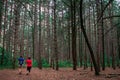 Grand Rapids, MI /USA - July 12th 2018: Walking through the woods in Provin Trails in Grand Rapids Michigan