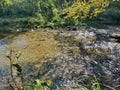 The Grand River at Homer Watson Park