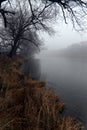 Misty Grand River
