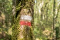 Grand Route trail sign on oak tree at Belelle river Royalty Free Stock Photo