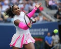 Grand Slam champion Serena Williams of United States in action during her round four match at US Open 2016 Royalty Free Stock Photo