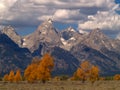 Grand Teton Autumn Royalty Free Stock Photo