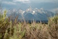 The Grand Teton Mountain Range in Fall Royalty Free Stock Photo