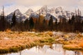 Grand Teton Mountains and Beaver Dam Royalty Free Stock Photo