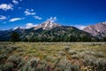 Grand Teton mountains and surrounding forest and grass area in Grand Teton National Park, Wyoming. Royalty Free Stock Photo