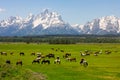 Grand Teton National Park Royalty Free Stock Photo