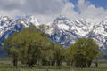 Grand Teton National Park, Jackson Hole, Wyoming. Royalty Free Stock Photo