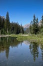 Grand Teton National park landscape Royalty Free Stock Photo