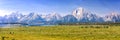 Grand Teton national park, mountain range panorama, Wyoming USA Royalty Free Stock Photo