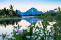 Grand Teton National Park - Oxbow Bend viewpoint at sunrise, with wildflowers intentionally blurred in foreground Royalty Free Stock Photo