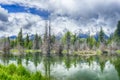 Grand Teton National Park in the USA Royalty Free Stock Photo