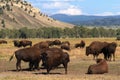 Grand Teton National Park, Wyoming, USA Royalty Free Stock Photo