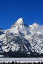 Grand Teton Peaks in the Bridger-Teton National Forest in Wyoming Royalty Free Stock Photo