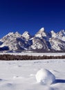 Grand Teton Peaks in the Bridger-Teton National Forest in Wyoming Royalty Free Stock Photo