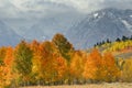 Grand Tetons Autumn Royalty Free Stock Photo