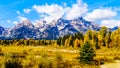 The Grand Tetons and Fall Colored Trees viewed from Schwabacher Landing in Grand Tetons National Park Royalty Free Stock Photo