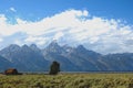 Grand Tetons Mormon Row farmhouse Royalty Free Stock Photo