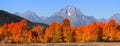 Grand Tetons national mountain range Royalty Free Stock Photo