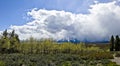 Grand Tetons Panorama Royalty Free Stock Photo