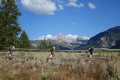 Grand Tetons Peaks - West Side, Wyoming Royalty Free Stock Photo