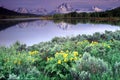 Grand Tetons Portraits Royalty Free Stock Photo