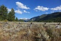 Grand Tetons Peaks - West Side, Wyoming Royalty Free Stock Photo