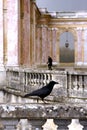 The Grand Trianon - Versailles