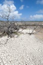 Grand Turk Island Dry Landscape Royalty Free Stock Photo