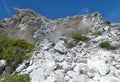 Grand Turk Island Eroded Cliff