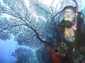 Grand Turk Scuba Diver w/ Sea Fan Royalty Free Stock Photo