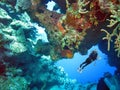 A Grand Turk Scuba Diver Enjoys the Lush Coral Reefs