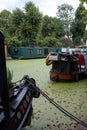 Grand Union Canal at Little Venice, Paddington, London. The water is covered in green algae after the summer heatwave, 2018 Royalty Free Stock Photo