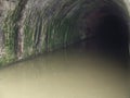 Grand Union canal tunnel with moss Royalty Free Stock Photo