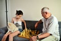 Granddaughter with a dog and grandpa playing chess